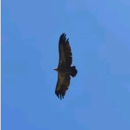 Teodora Uvac Nova Varoš