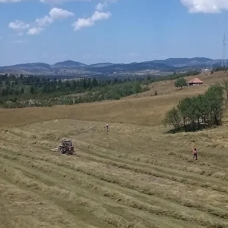 Teodora Uvac Apartament *