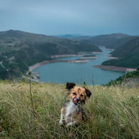 Teodora Uvac Nova Varoš