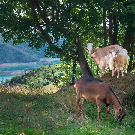 Teodora Uvac Apartamento Nova Varoš