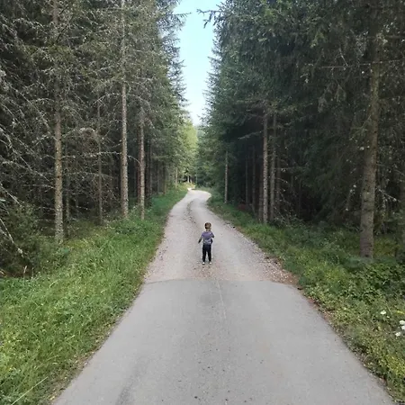 Teodora Uvac 公寓 Nova Varoš