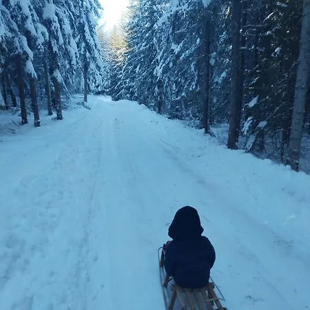 Teodora Uvac 公寓 *