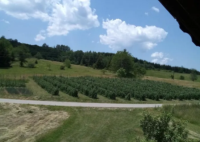 Teodora Uvac Нова-Варош