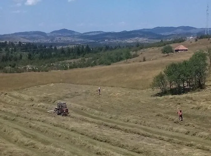 Teodora Uvac Апартаменты *