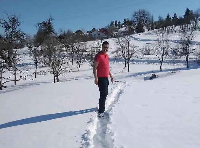 Апартаменты Teodora Uvac