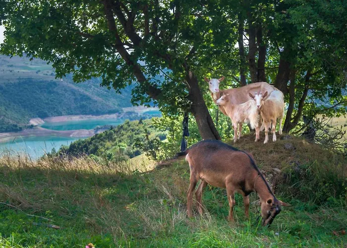 Teodora Uvac Апартаменты Нова-Варош