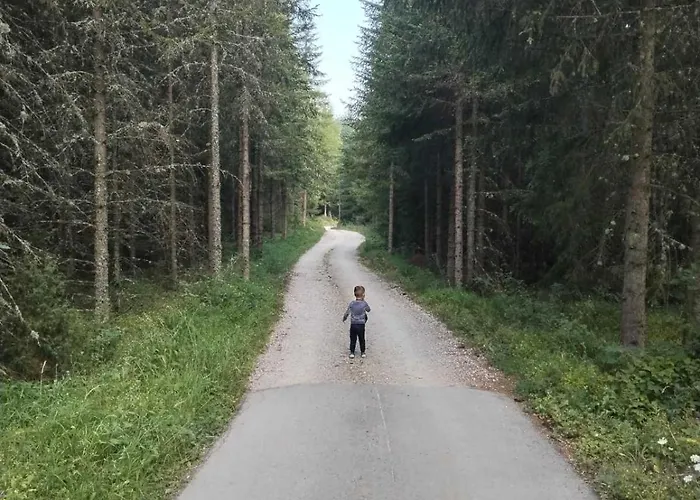 Teodora Uvac Апартаменты Нова-Варош