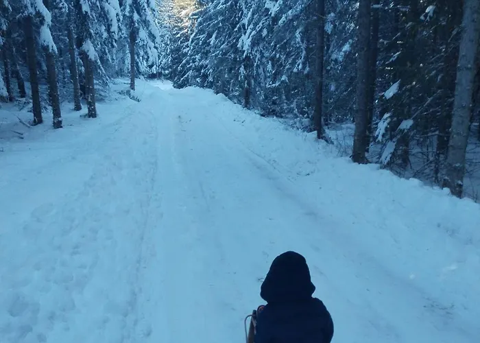 Teodora Uvac Апартаменты *