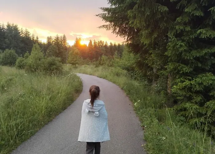 Апартаменты Teodora Uvac *